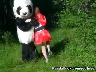 Rouge chevauchée capot baisée par panda
