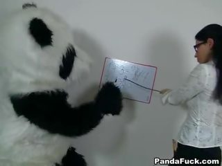 Voluptuous teacher for libidinous Panda bear