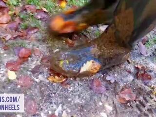 Flashing and Pissing in the Forest - Shannon Heels: adult clip ce