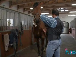 Tera gioia cavalcare cavallo su fattoria