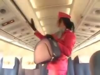 Desirable stewardess zuigen lid voor cunnilingus